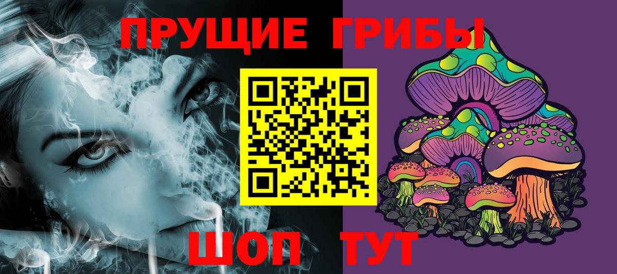 Псилоцибиновые грибы Psilocybe  Вход с VPN  Боровичи 